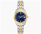 Fossil_ES5443