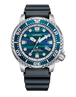 Citizen_BN0167-09W