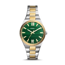 Fossil_ES5334