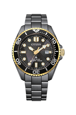 Citizen_BN0264-53E