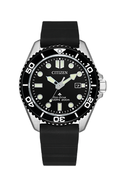 Citizen_BN0266-07E
