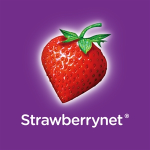 StrawberryNet_03.2026
