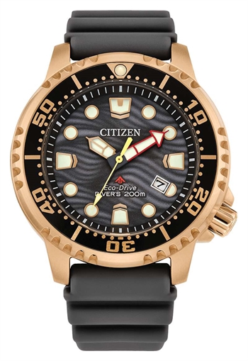 Citizen PROMASTER Eco-Drive Watch [BN0163-00H]