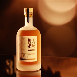 天成梅酒 WHOA (500ml)