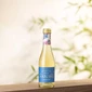 Saicho Sparkling Tea - Jasmine (200ml)