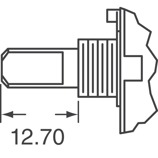 R20407RR03Q