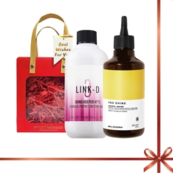 $408 (兩件85折) - 意大利 Elgon LINK D 蛋白重塑護理 + 意大利 Elgon  YES SHINE 神奇亮澤水晶髮妝水