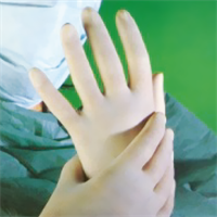 Latex Examination Glove (Powedered/ Powdered-Free)