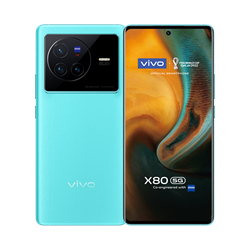 vivo X80