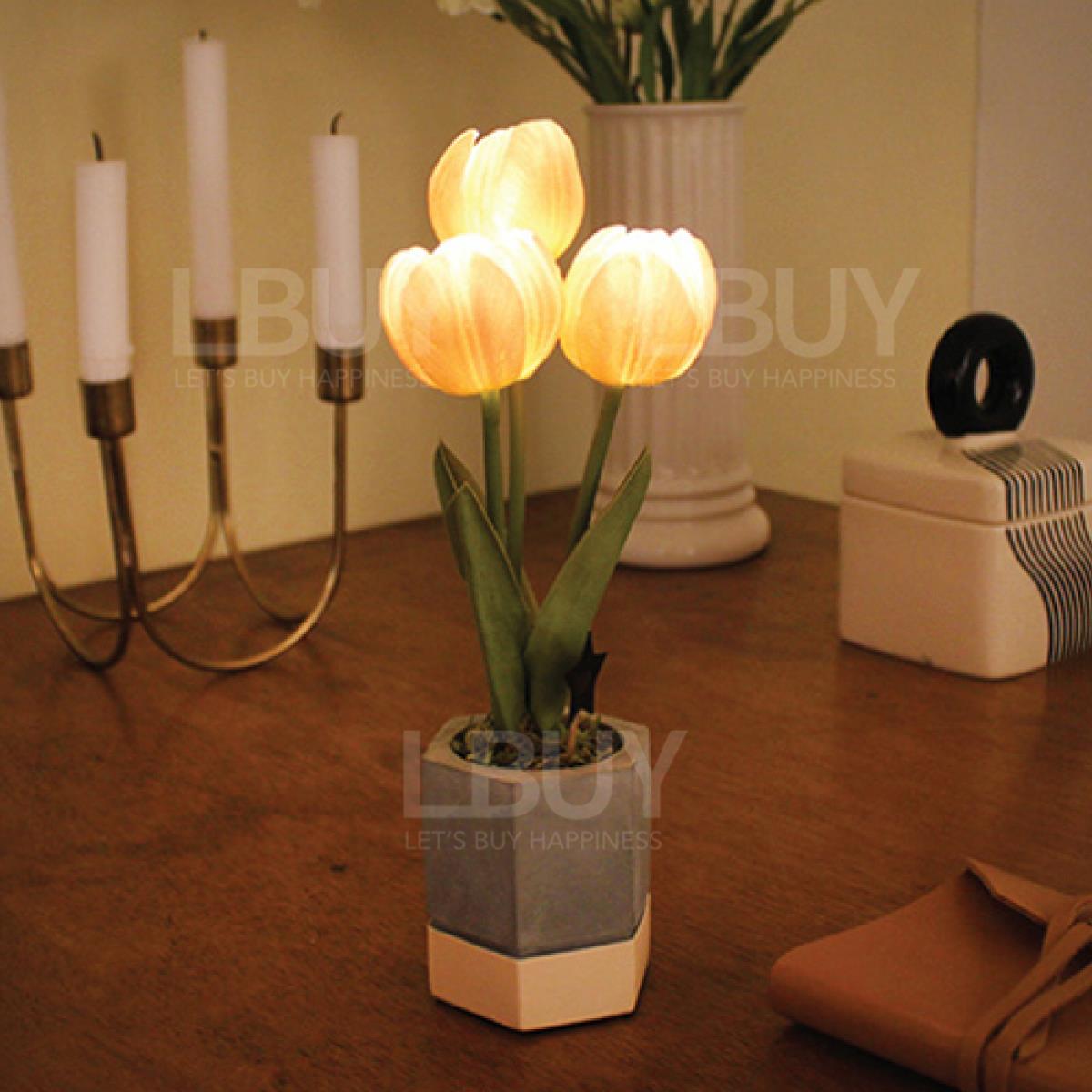 郁金香LED小盆栽 - 蜜桃