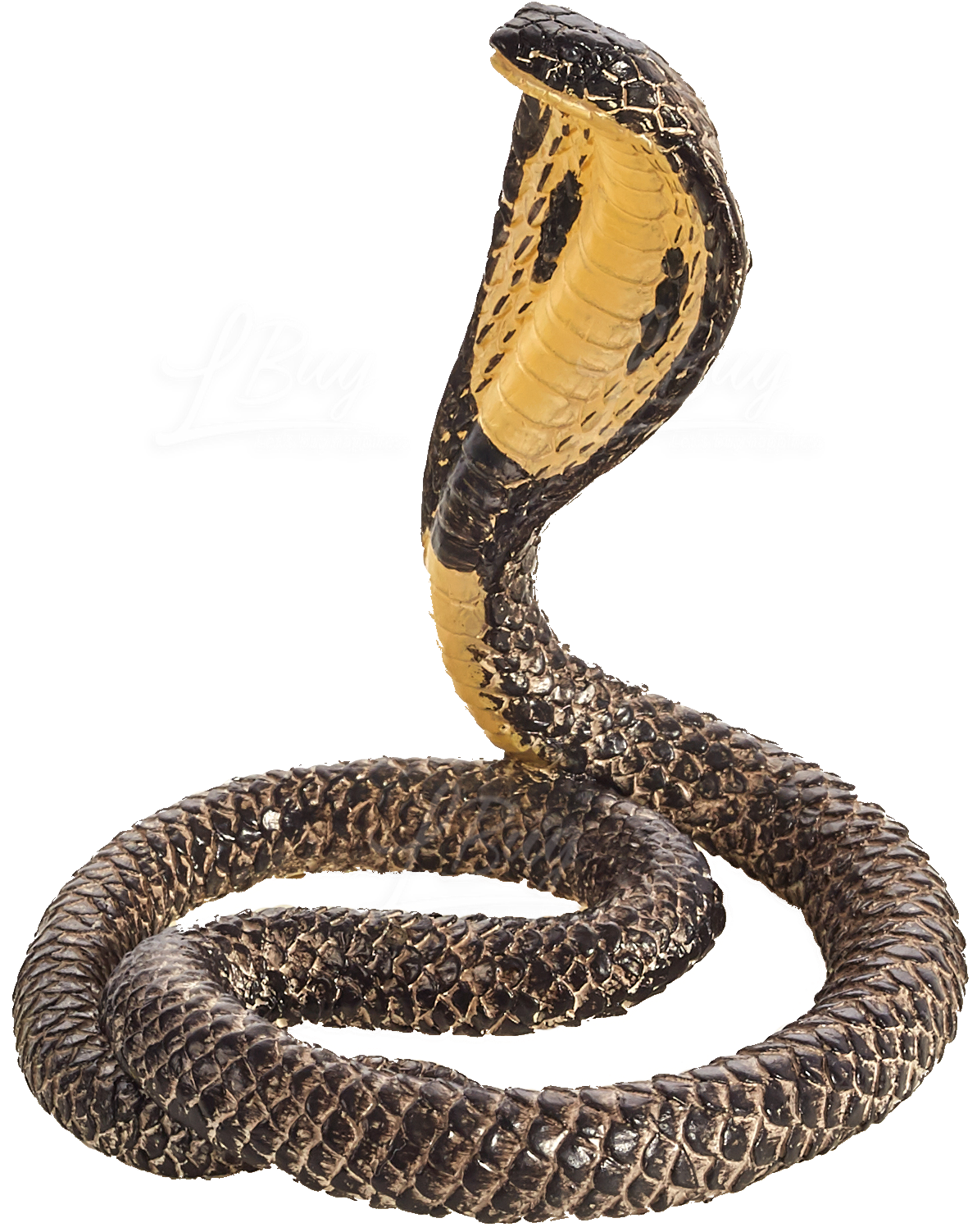 King Cobra