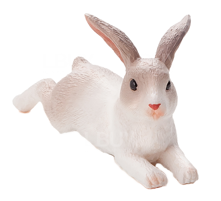Rabbit Lying