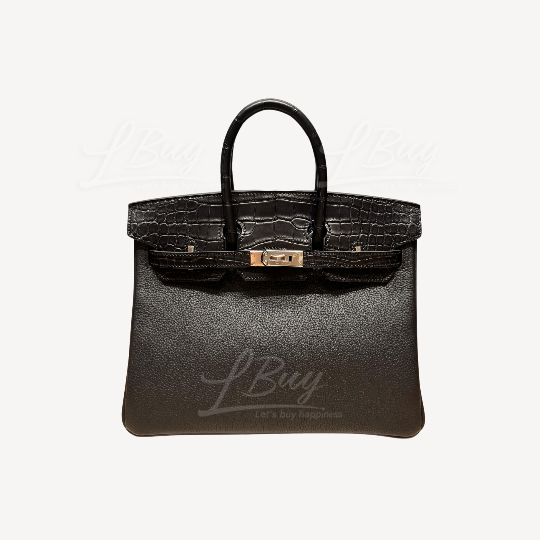 Hermes Birkin 25 touch NOIR/NOIR