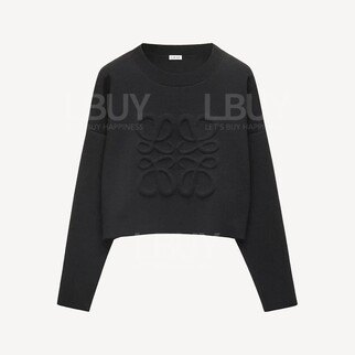 Loewe 羊毛提花針織上衣