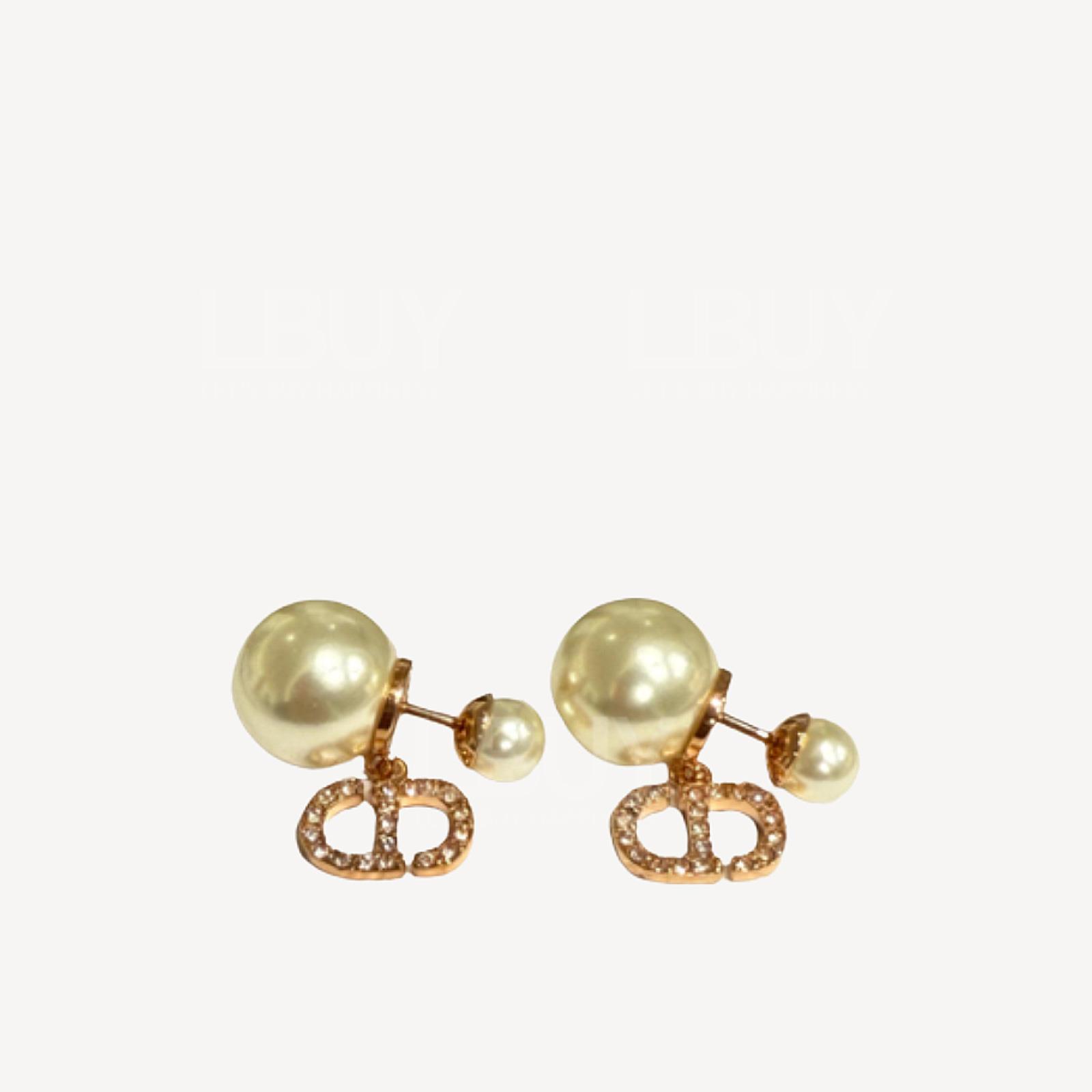 Dior WCJ Earrings