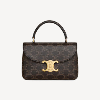 Celine Teen Nino Bag in Triomphe Canvas 标志印花手挽袋手袋
